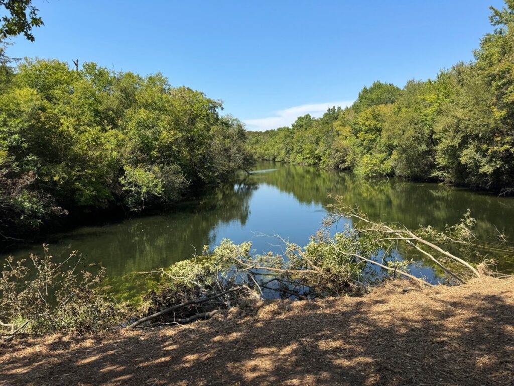 Scenic view of a serene river surrounded by lush green trees under a clear blue sky, reflecting tranquility and natural beauty.