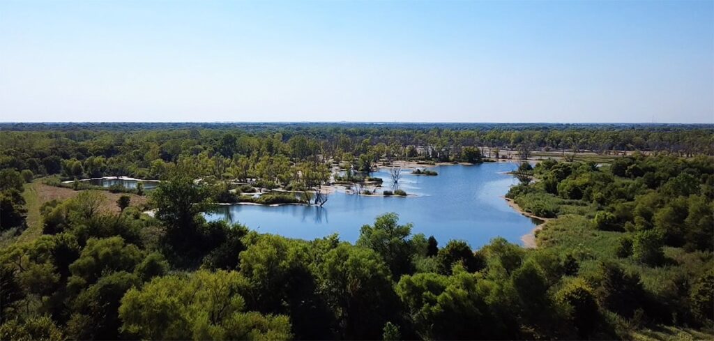 Aerial view of scenic lake surrounded by lush green forest