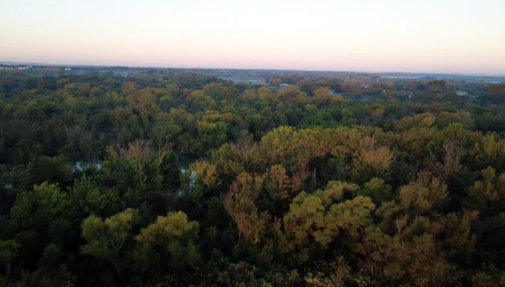 Aerial view of lush green forest landscape at sunrise