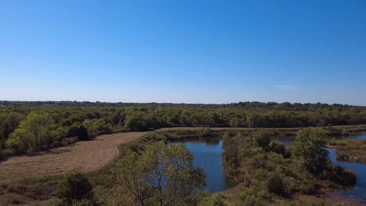 Aerial view of a serene landscape with trees and a calm river