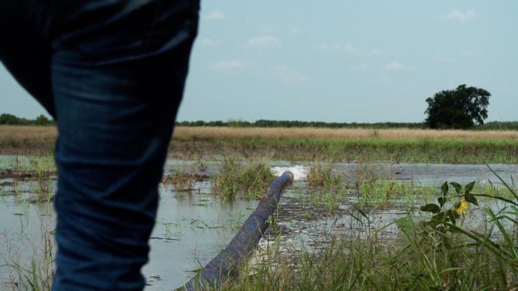 Water pump discharging into a flooded field, with a person standing nearby.